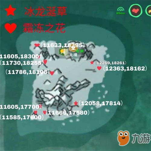 北境骨龙饲料制作指南：探索神秘魔法配方