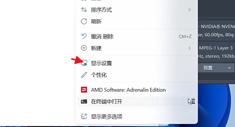 植物大战僵尸杂交版3D加速开启教程