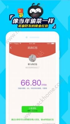 探索派派后花园：全面介绍与概览