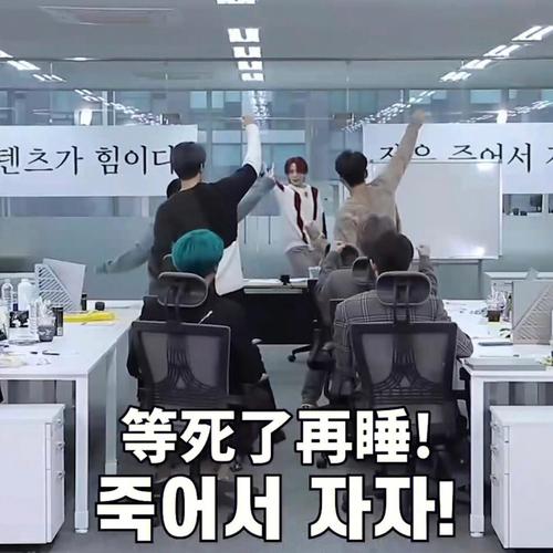 SVTV3综合资讯平台报道