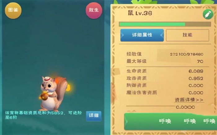 如何获取创造与魔法松鼠