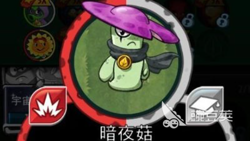 揭秘植物大战僵尸抽卡版中最强的一张卡片