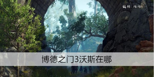 哪里可以找到博德之门 3里 的沃斯？